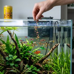 Tropical Ovo-Vit - pokarm wzmacniający dla ryb akwariowych płatki