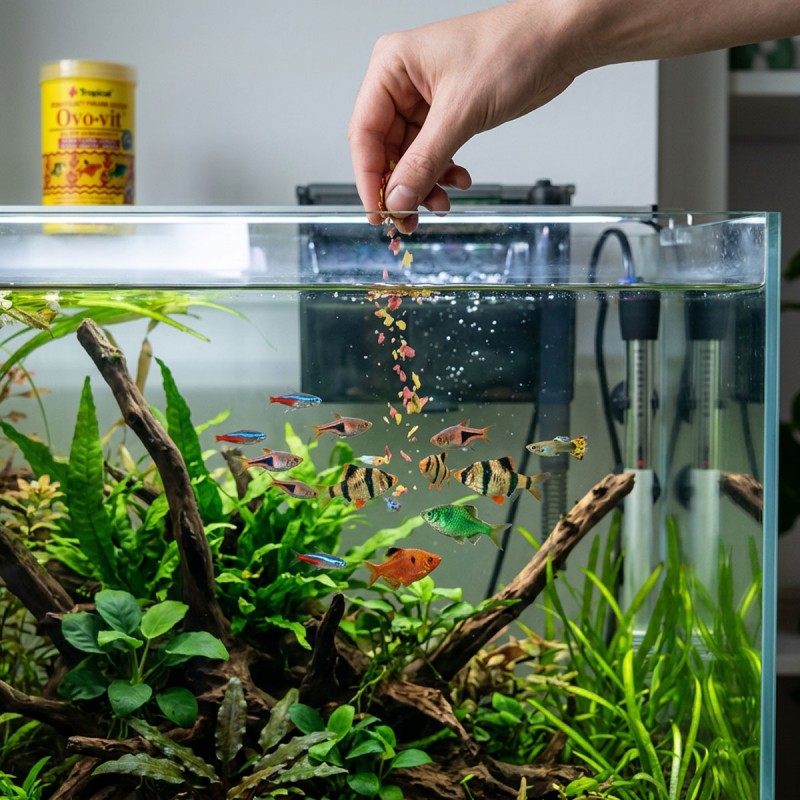 Tropical Ovo-Vit - pokarm wzmacniający dla ryb akwariowych płatki