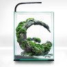 Aquael Shrimp Set Smart Day&Night 30 LED - 29x29x35cm zestaw akwarium