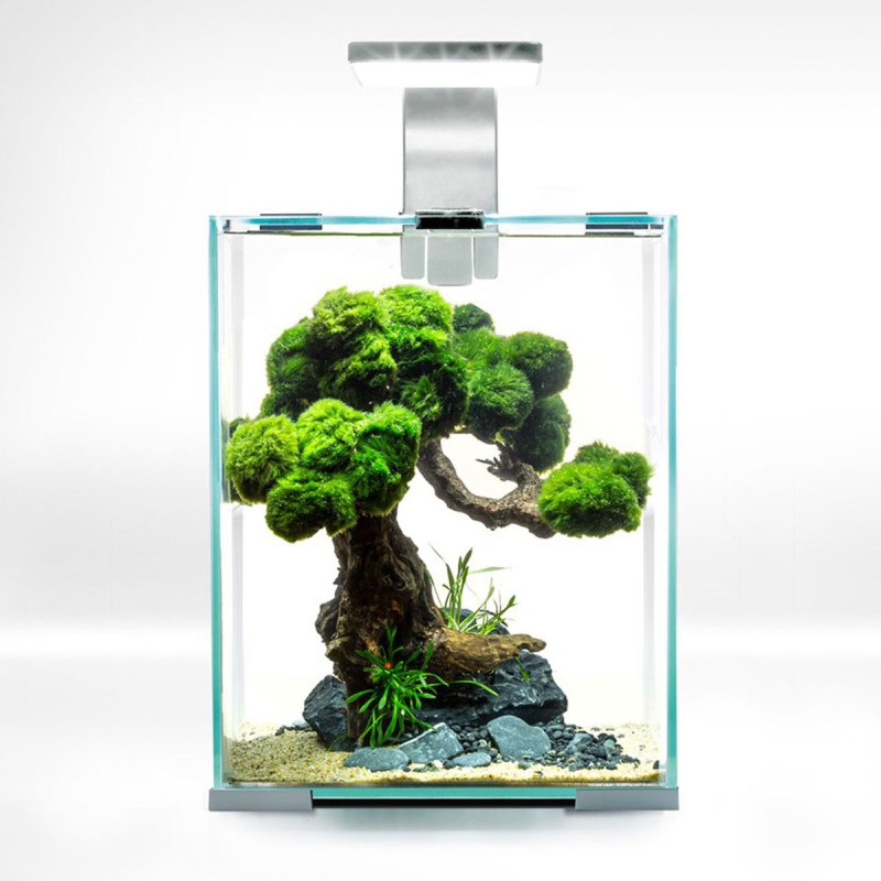Zestaw akwariowy Aquael Shrimp Set Smart D&N ECOM 20x20x25cm 10 L biały