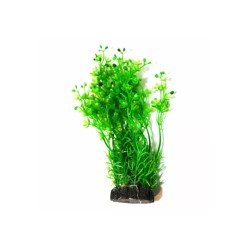 Roślina kępkowa 15cm Aquael
