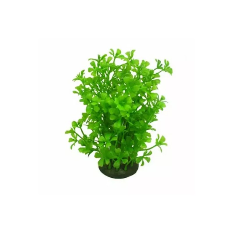 Roślina kępkowa 15cm Aquael