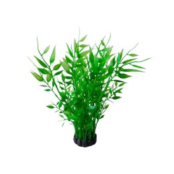 Roślina kępkowa 20cm Aquael
