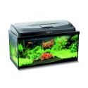 Aquael Classic Box Day&Night 60 - 60x30x30cm - zestaw akwarium