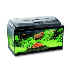 Aquael Classic Box Day&Night 60 - 60x30x30cm - zestaw akwarium