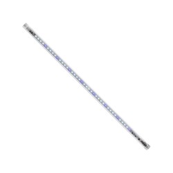 Aquael Classic Box Day&Night 80 - 80x35x40cm - zestaw akwarium
