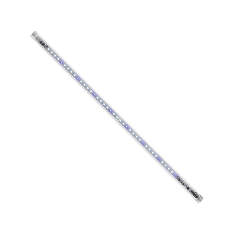 Aquael Classic Box Day&Night 80 - 80x35x40cm - zestaw akwarium