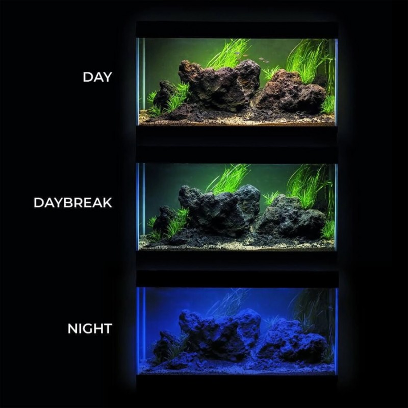 Aquael Classic Box Day&Night 80 - 80x35x40cm - zestaw akwarium