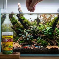 TROPICAL Shrimp Sticks - pokarm dla krewetek