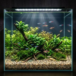 Żwir Naturalny Wielobarwny 1,4-2 mm AQUAEL
