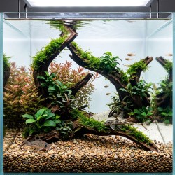 Żwir Naturalny Wielobarwny 5-10 mm AQUAEL