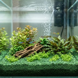 Żwirek Aqua Decoris Zielony AQUAEL