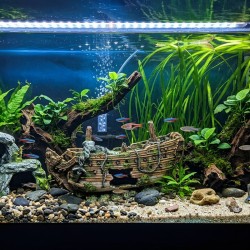 Ozdoba do akwarium Wrak statku 30 cm ZOLUX