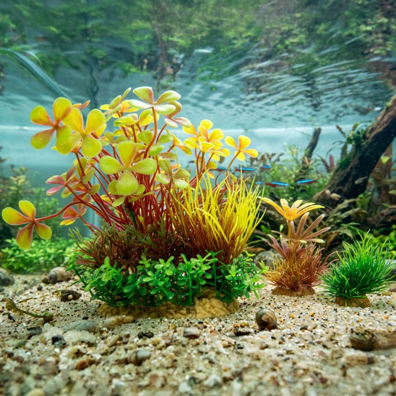 Zestaw roślin do akwarium PLANTKIT WIHA model 4 ZOLUX Zestaw roślin do akwarium PLANTKIT WIHA model 4 ZOLUX