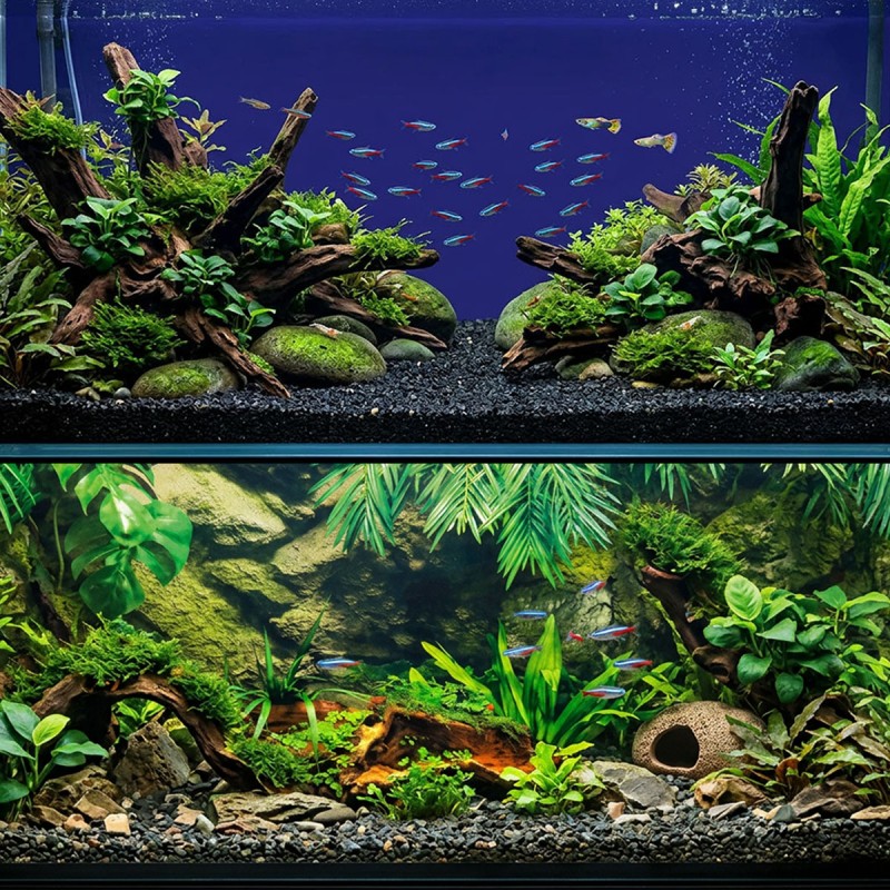 Tło do akwarium dwustronne Podwodna Palma / Niebieskie 60x120 cm ZOLUX Tło do akwarium dwustronne Podwodna Palma / Niebieskie 60x120 cm ZOLUX