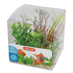 Zestaw roślin do akwarium MIX 4 szt. zestaw 2 ZOLUX