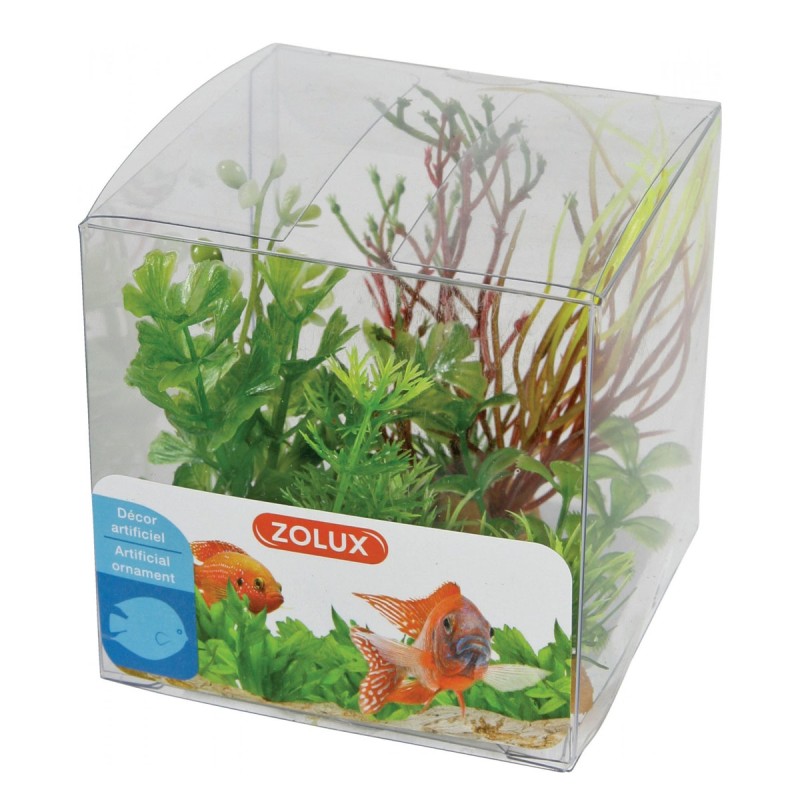 Zestaw roślin do akwarium MIX 4 szt. zestaw 2 ZOLUX