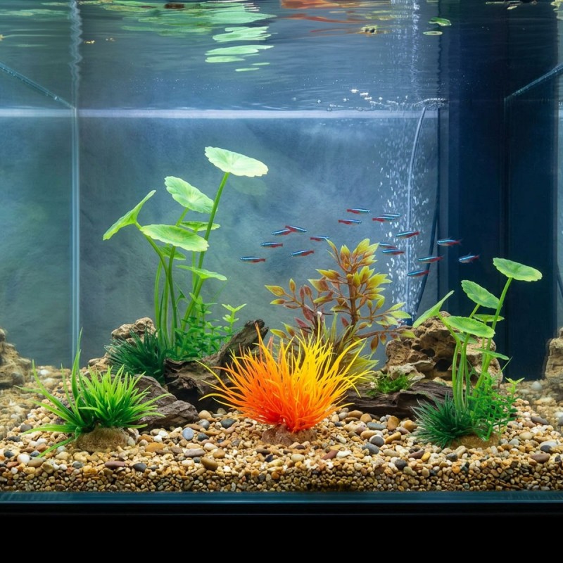 Zestaw roślin do akwarium MIX 4 szt. zestaw 3 ZOLUX