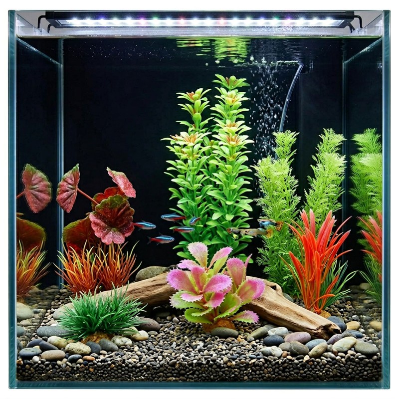Zestaw roślin do akwarium MIX 6 szt. zestaw 1 ZOLUX
