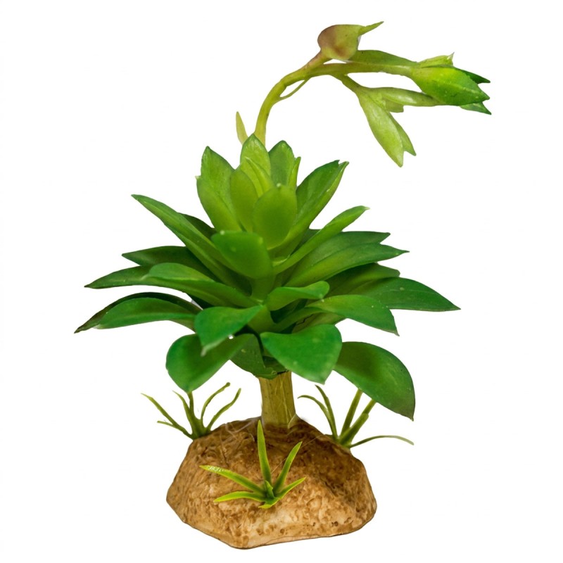Sztuczna roślina do terrarium Sukulent Green 11,5 cm Repto Plant