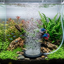 Kamień napowietrzający dysk 12 cm Aqua Nova