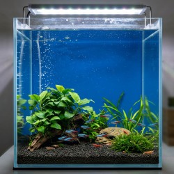 Tło do akwarium czarne / niebieskie Aqua Nova