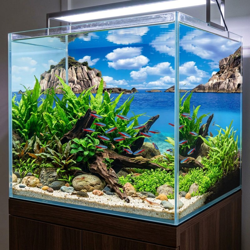 Tło do akwarium Rośliny / Ocean Aqua Nova