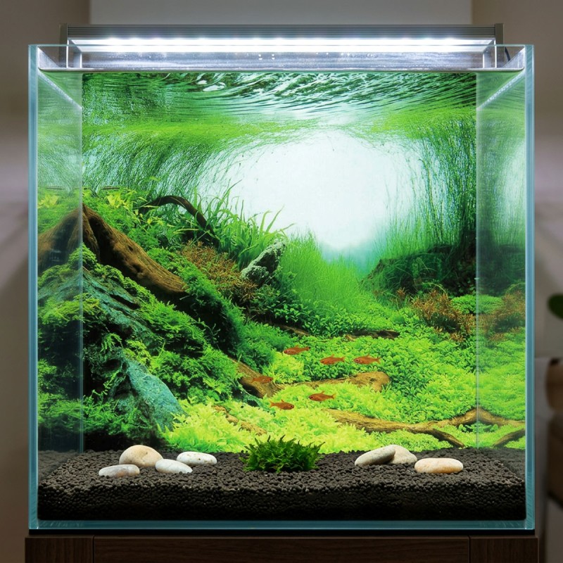 Tło do akwarium Rośliny / Ocean Aqua Nova