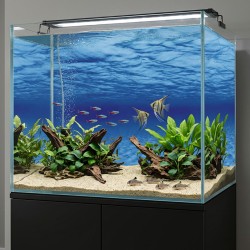 Tło do akwarium dwustronne Kamienie / Woda Aqua Nova