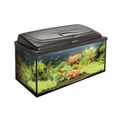 Aquael Aqua4Family 80/P Day&Night - 80x35x40cm - zestaw akwarium