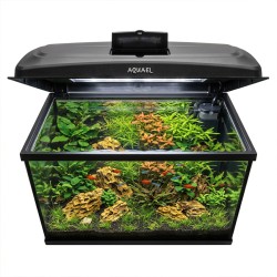 Aquael Aqua4Family 80/P Day&Night - 80x35x40cm - zestaw akwarium