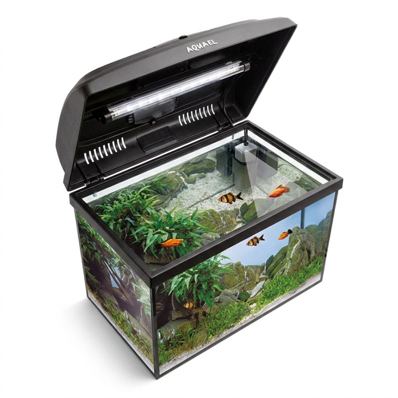 Aquael AQUA4KIDS 40/P Day&Night - 41x25x25 cm - zestaw akwarium