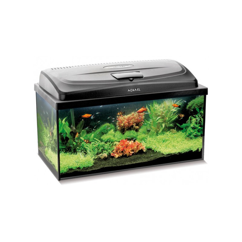 Aquael Aqua4Start 60/P Day&Night - 60x30x30 cm - zestaw akwarium