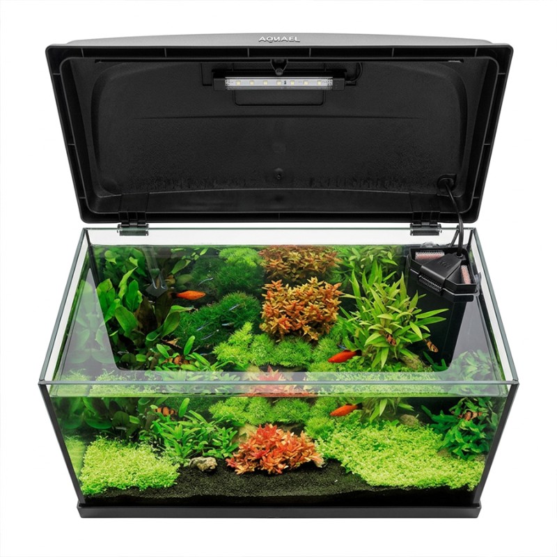 Aquael Aqua4Start 60/P Day&Night - 60x30x30 cm - zestaw akwarium