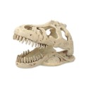 Czaszka Dinozaura T-Rex Repti Planet