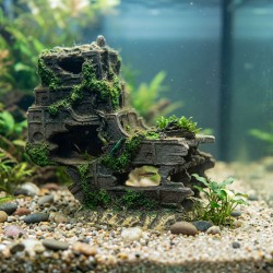 Ozdoba akwariowa Wrak Statku z Mchem 38,5 cm Happet