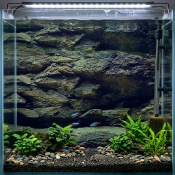 Tło do akwarium dwustronne Skały / Rośliny Aqua Nova