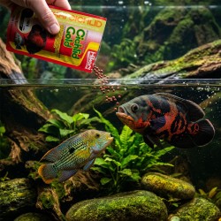 HIKARI Cichlid Gold Mini - pokarm dla pielęgnic