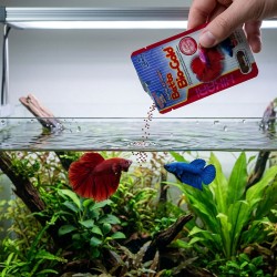 HIKARI Betta Bio-Gold - pokarm dla bojowników