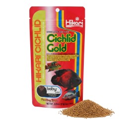 HIKARI Cichlid Gold Baby - pokarm dla pielęgnic