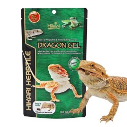 HIKARI Dragon Gel - pokarm dla Agamy Brodatej