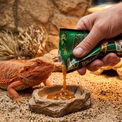 HIKARI Dragon Gel - pokarm dla Agamy Brodatej