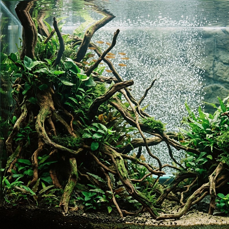 Kamień napowietrzający Listwa Aqua Nova