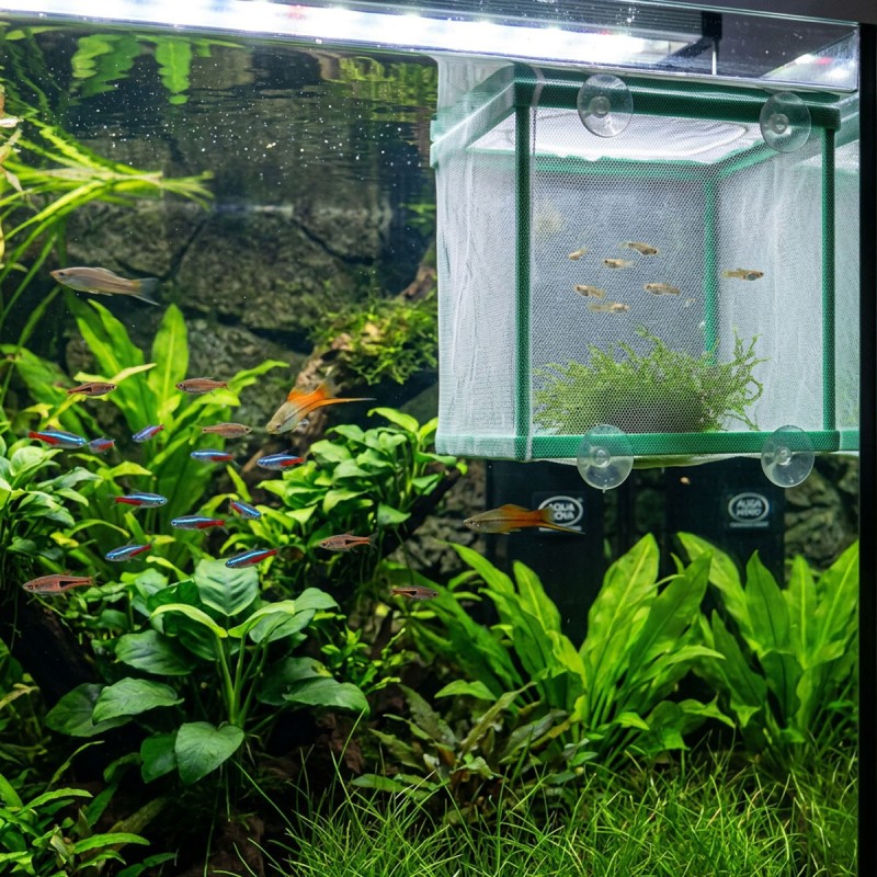 Kotnik siatkowy dla ryb akwariowych Aqua Nova Kotnik siatkowy dla ryb akwariowych Aqua Nova