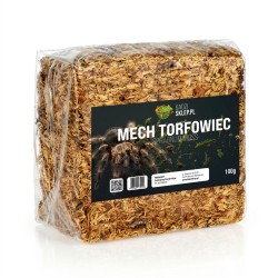 Mech torfowiec - Sphagnum Moss 100g