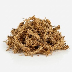 Mech torfowiec - Sphagnum Moss 100g