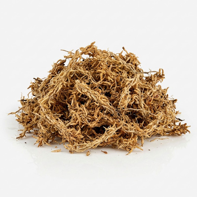 Mech torfowiec - Sphagnum Moss 100g