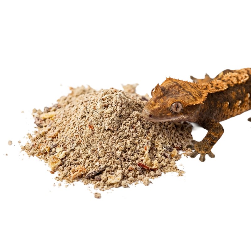 Pokarm dla gekonów BioGecko Food Banan i Jabłko