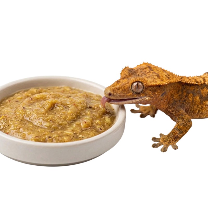 Pokarm dla gekonów BioGecko Food Banan i Mango