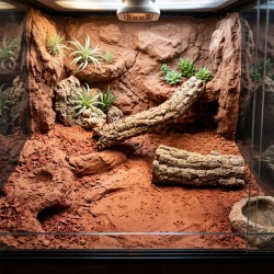 Glina terrarystyczna do terrarium